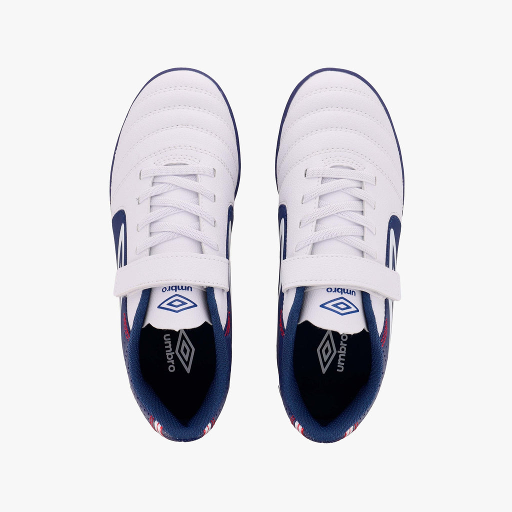 CLASSICO XII-ASTRO TURF