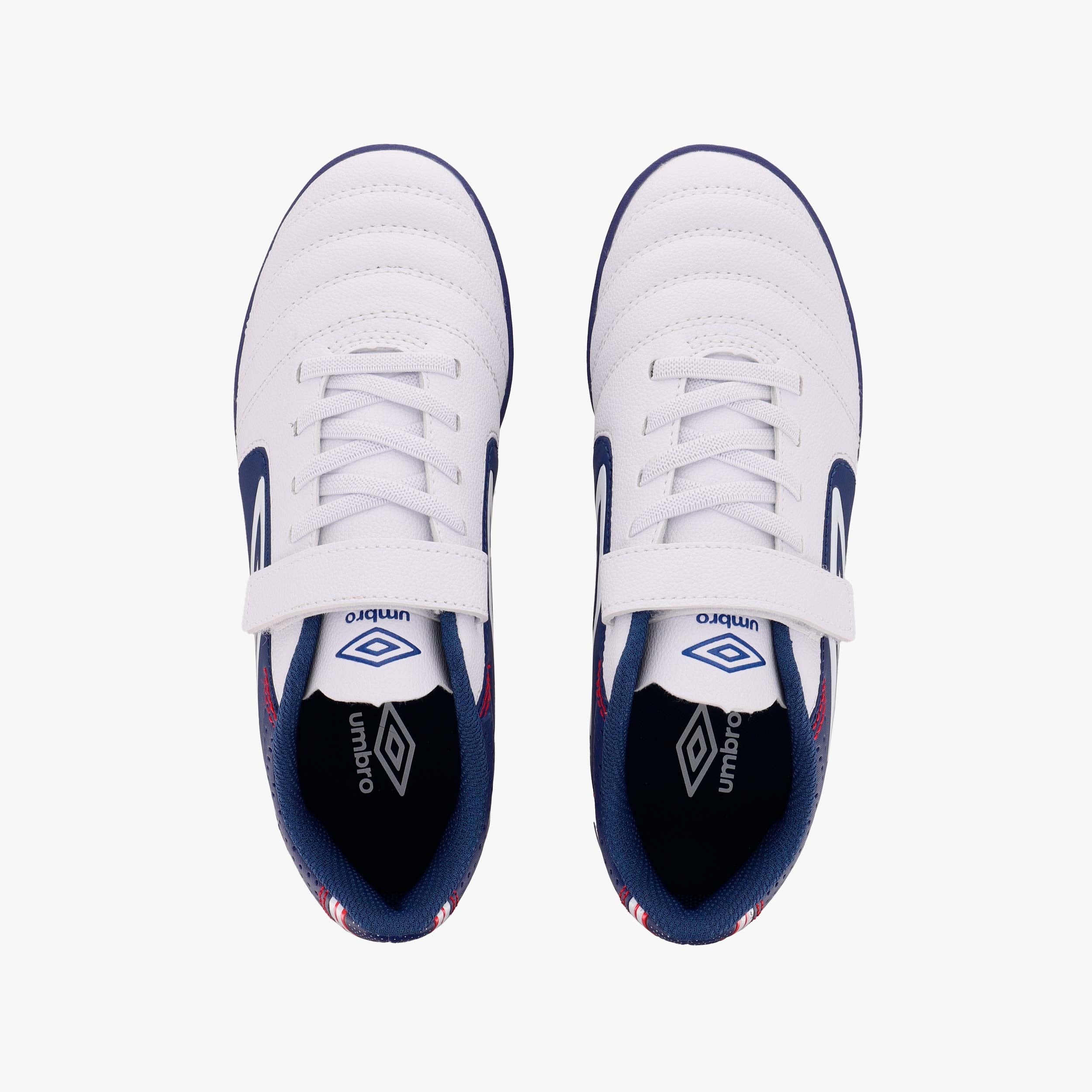 CLASSICO XII-ASTRO TURF