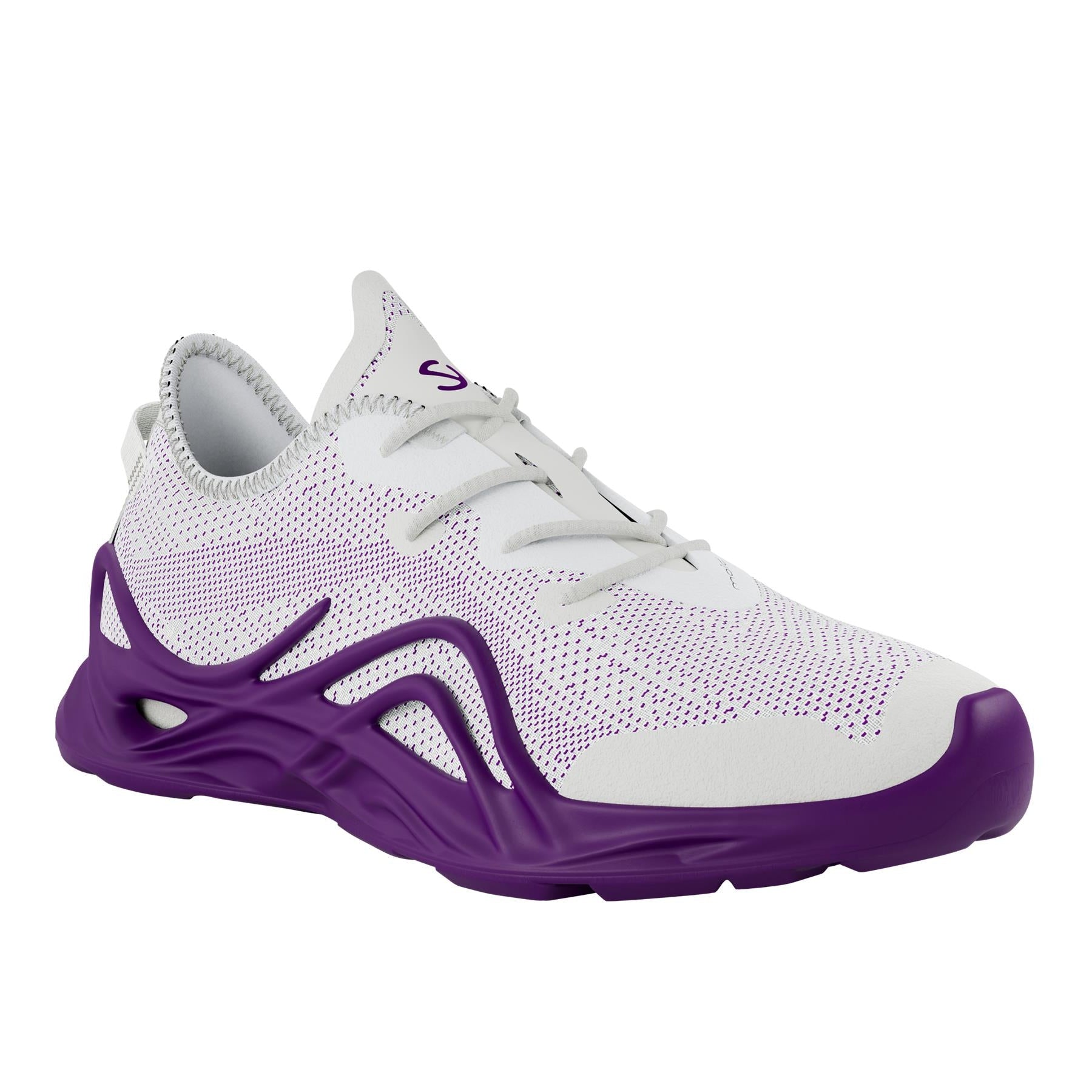 ECCO BIOM INFINITE W TEX