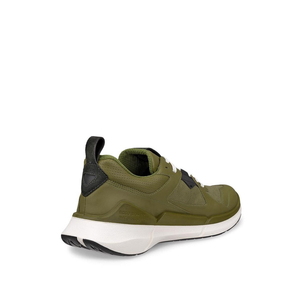ECCO BIOM 2.2 M GTX