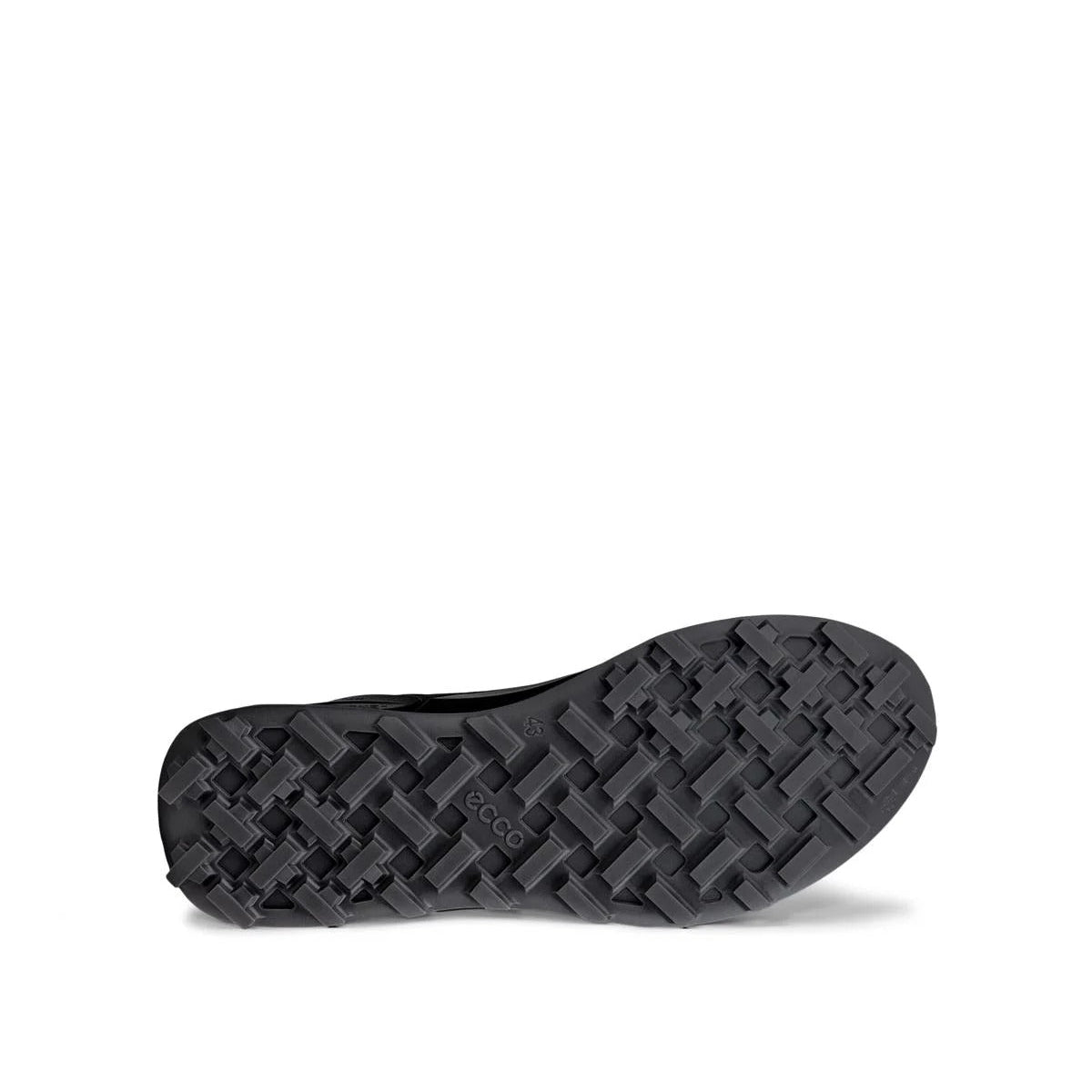 ECCO BIOM 2.1 X MTN M GTX
