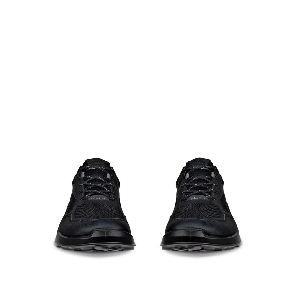 ECCO BIOM 2.1 X MTN M GTX