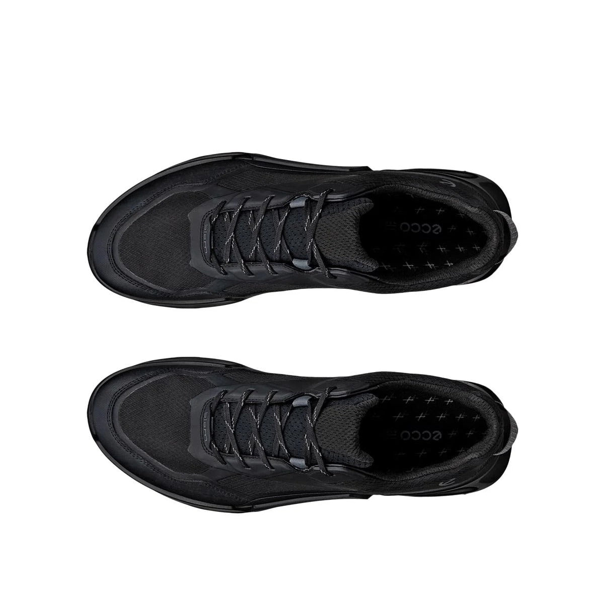 ECCO BIOM 2.1 X MTN M GTX